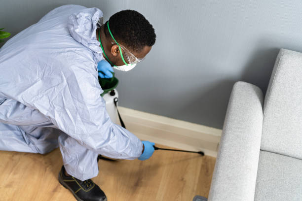 Best Fumigation Services  in Fulton, NY